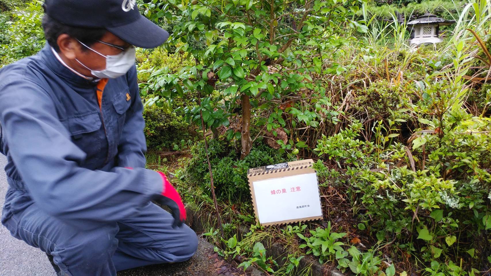 お盆を前に、墓地の蜂の巣をみんなで駆除してきました