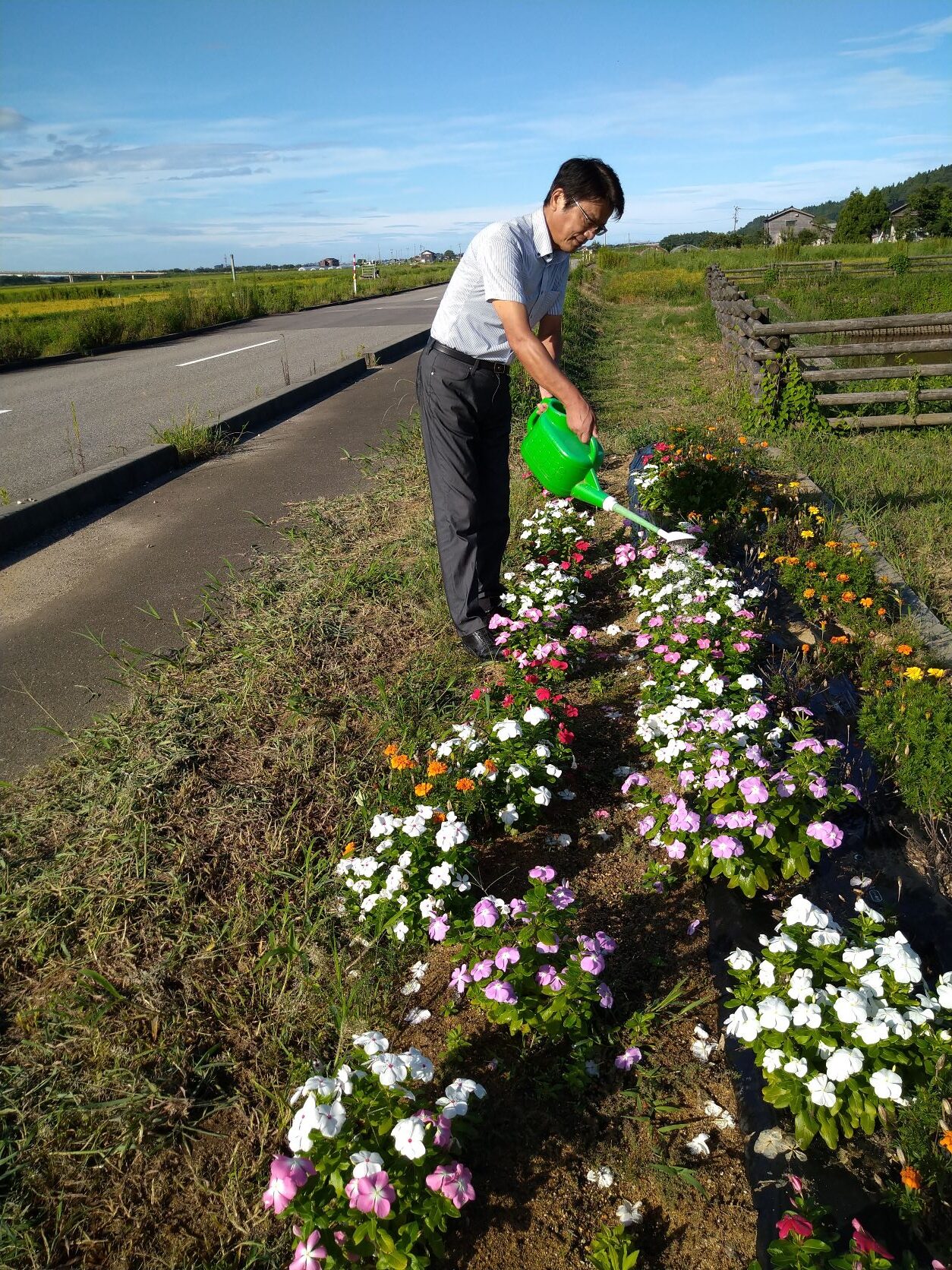 花壇の水やり、今日は私の当番です。